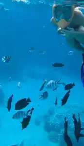 Sentido Reef Oasis Aqua Park Resort - 8