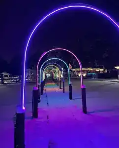 Recreation center Magic Wood - 1