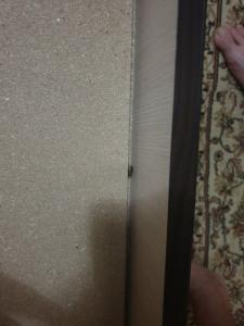 Surprise Yablochkova - 27