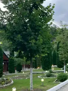 Recreation center Nihaloy - 39