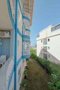 Divo Palace - 15