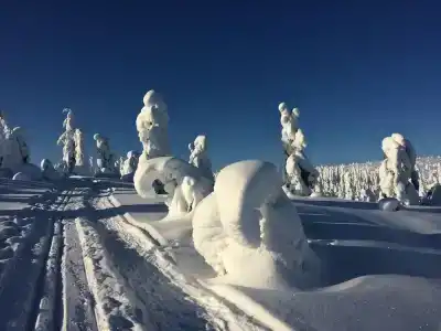 Holiday Club Kuusamo Tropiikki Apartments - 7
