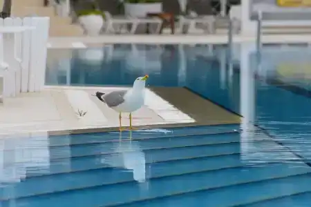 Mark Warner Phokaia Beach Resort - 14