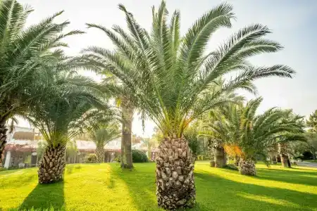 Mark Warner Phokaia Beach Resort - 17