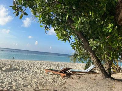 Reethi Faru, Bio Luxury Resort - 99