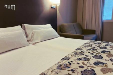 Regente Aragón Gastronómico - 82