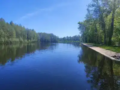 Berezinskaya Dubrava - 2