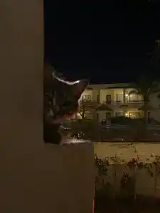 Cataract Resort Naama Bay - 11