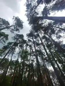 База отдыха Чигиринка - 17