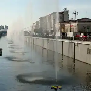 Azaliya Na Moskovskoj - 18