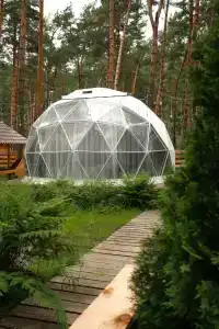 Kupolnaya baza Royal Forest - 63