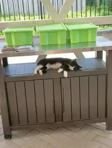 Rozhdestvenskij-Restaurant - 28