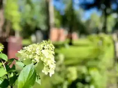 Domiki Recreation Camp - 16