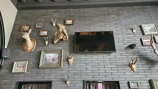 Gostinitsa Rossiya - 57