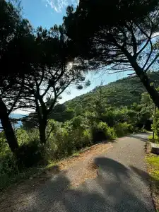 Ami Budva Petrovac - 11