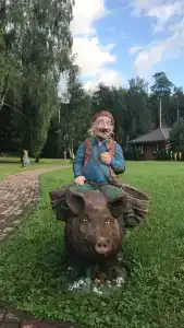 Дачный отель Лесные поляны - 7