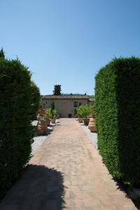 Rocca degli Olivi - 39