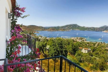 Swan Lake - Adult Only - 44