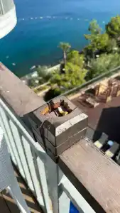 Blue Dreams Resort & SPA - 26