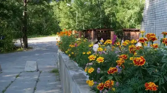 Severnaya Zhemchuzhina - 4