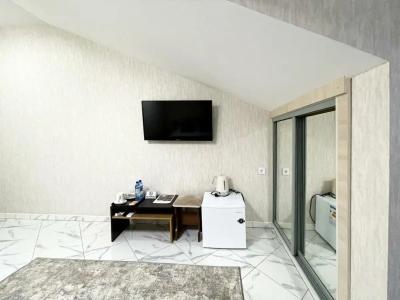 Пальмира - 53