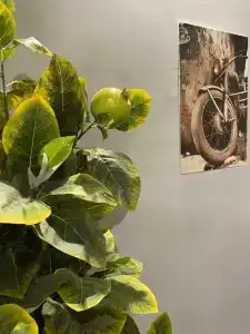 Shelterz Elektrozavodskaya - 8