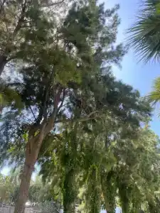 Le Bleu & Resort Kusadasi - 53