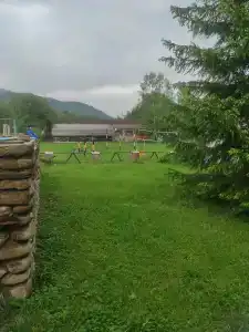Snezhnyy Bars - 54