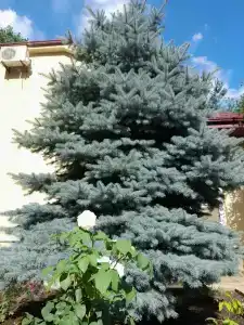 Гостиничный комплекс DELFIN - 85