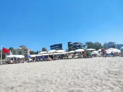 Kaila Krizantem - 91