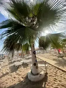 Blue Wave Suite - All Inclusive - 99