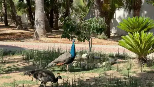 Seaden Sea World Resort & Spa - 32