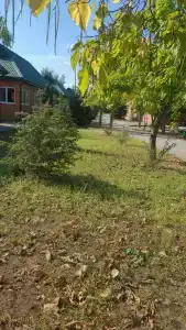 Tihaya Gavan Tourist base - 16