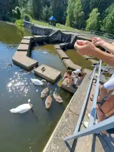 Медикал Спа Резорт Альфа Радон - 77