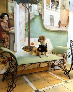 Трезини Арт-отель - 11