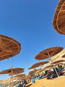 Sentido Reef Oasis Aqua Park Resort - 24