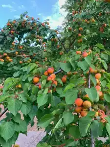 Рыболовный Клуб Место Встречи - 18
