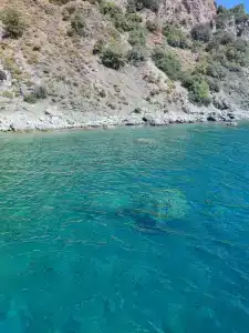 Club Mermaid Village - 45