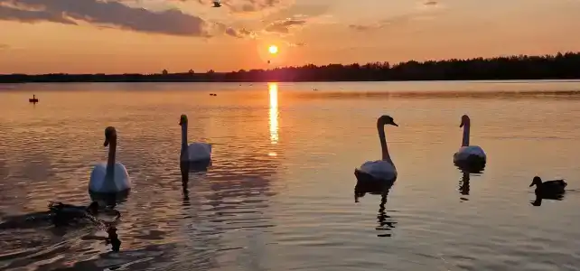 Славянская - 24