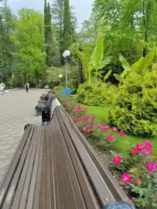 Belarus Sanatorium - 34