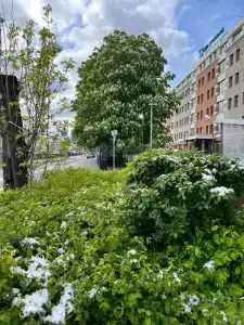 Crowne Plaza - Tretyakovskaya, an IHG - 25