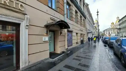 Соната на Владимирской площади - 25