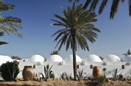 Monarque Dar Jerba Zahra - 43