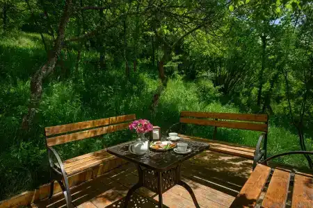 Aurora Resort Tsaghkadzor - 21