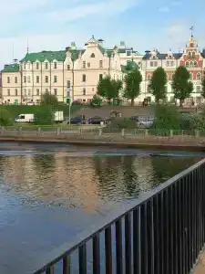Летучая мышь - 47