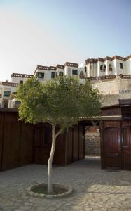 Umbi Sharks Bay Diving Village - 19