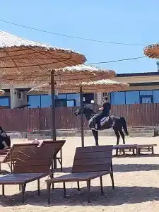 ОАЗИС домики - 17