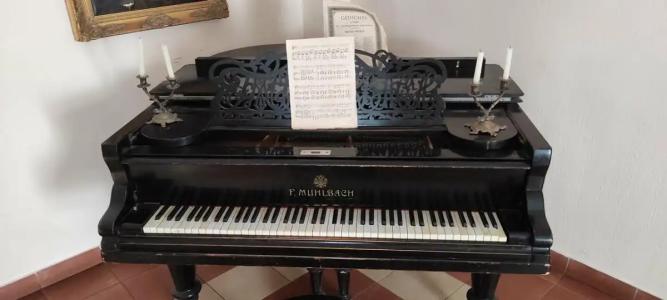 Usadba Pleshanova - 14