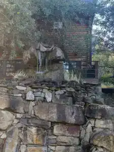 Zagorodny Klub Kura Tse Tse - 25