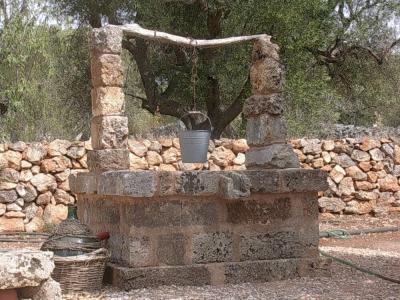 Macchia Salentina - 11